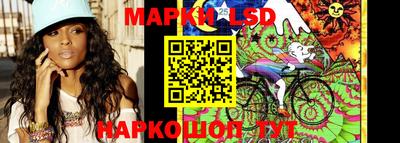 индика Михайловск