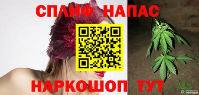 индика Михайловск
